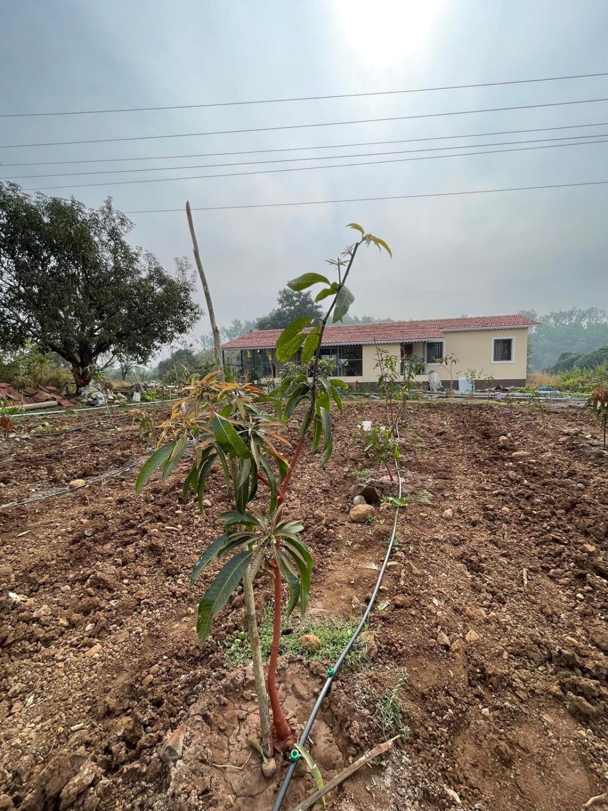 Aj Farms Villa Welhe ภายนอก รูปภาพ